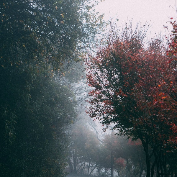 Weather Factory, Sleep Music System, Lullabies for Deep Meditation - Rain on Umbrella