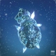 Icy Narco