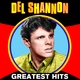Del Shannon - Needles And Pins
