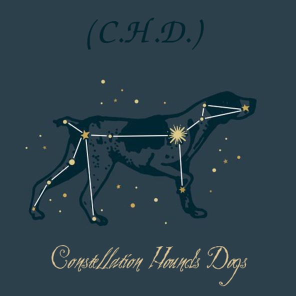 SNEG - C.H.D. Constellation Hounds Dogs