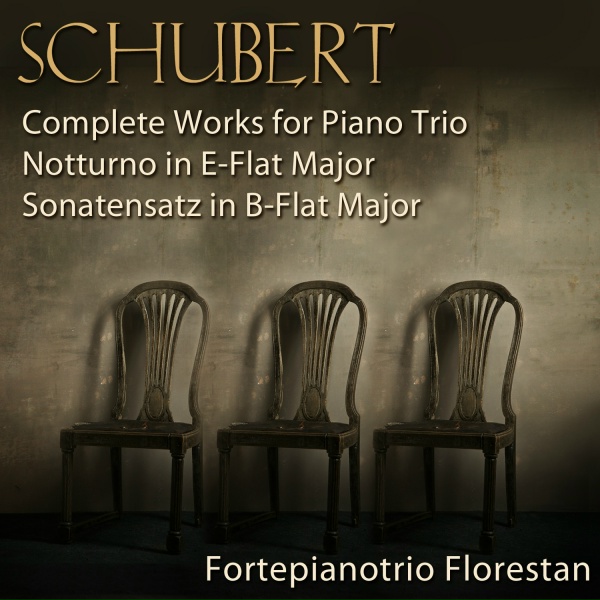 Franz Schubert - Sonatensatz in B-Flat Major, D. 28
