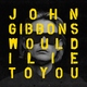John Gibbons - Would I Lie to You