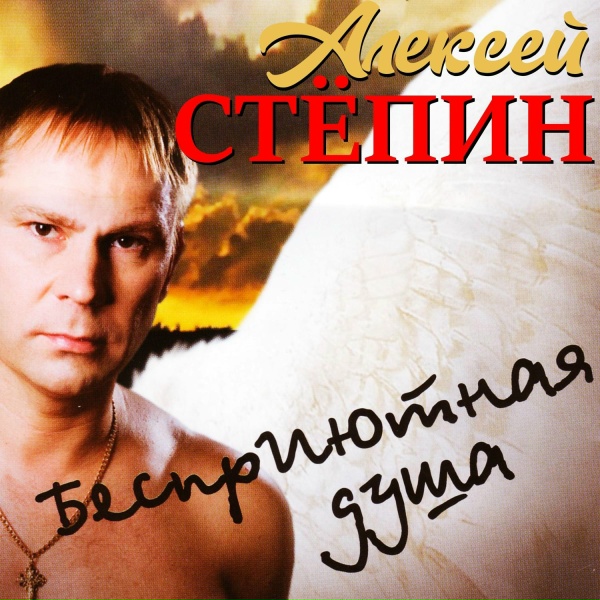 Алексей Стёпин - Ночь как ночь