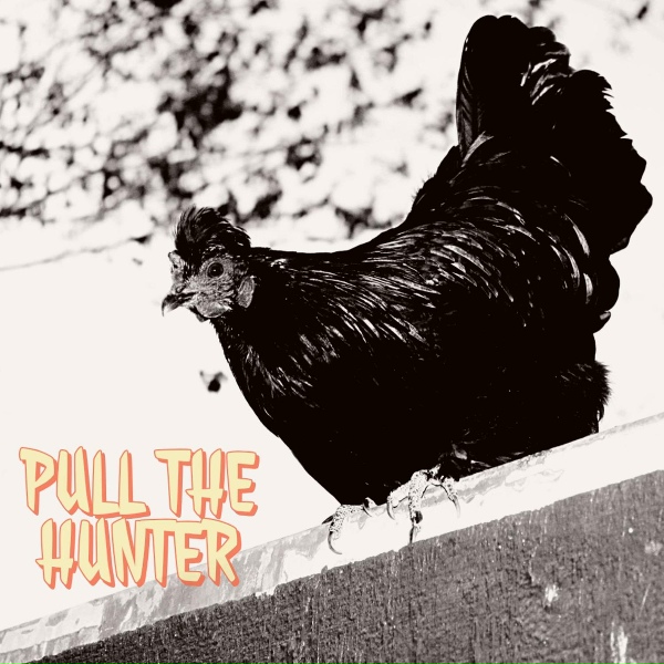 Pull the Hunter - Follow Me Faith