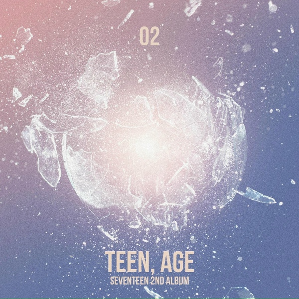 seventeen - Flower