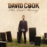 David Cook - Goodbye To The Girl