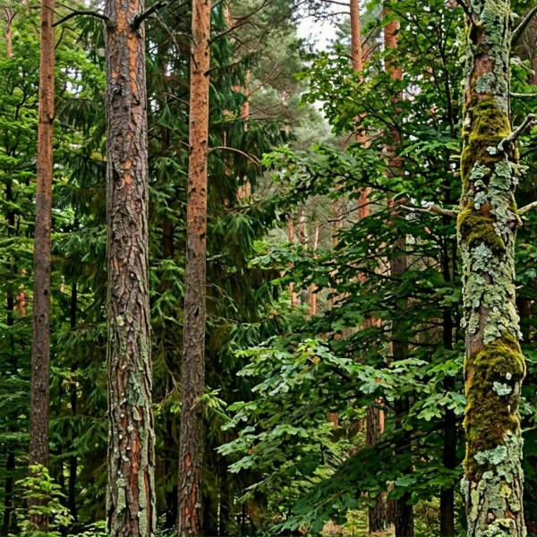 merzopakost - Раздадим пизды как будто бы