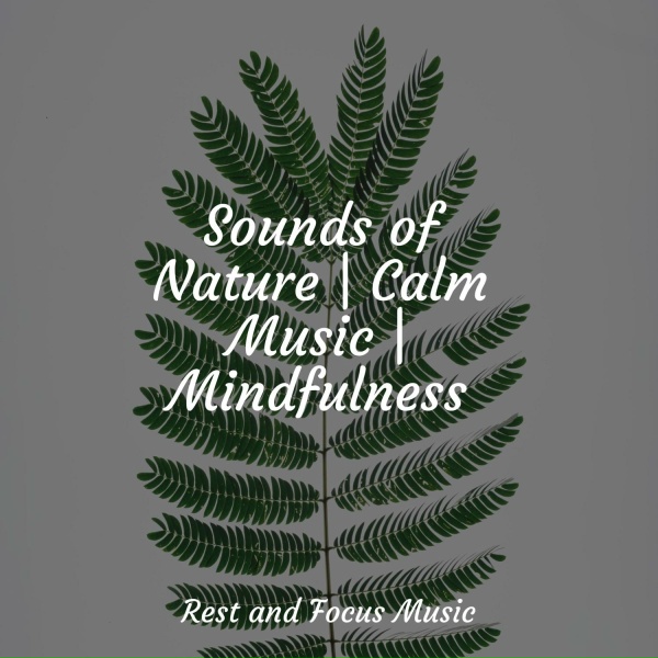 Baby Sleep, Yoga Namaste, Yoga - Ghost in Paradise