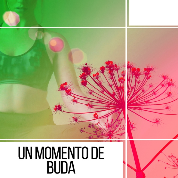 Buddhist m&eacute;ditation acad&eacute;mie - Flor de Loto