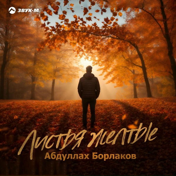 Абдуллах Борлаков - Моя любовь