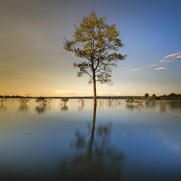 Relaxation Sleep Meditation, Relaxation Music Guru, Rainfall - Calmness