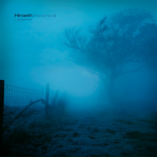 hir&aelig;th - polaroid