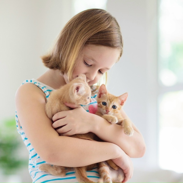 Boy With Pets - Need You
