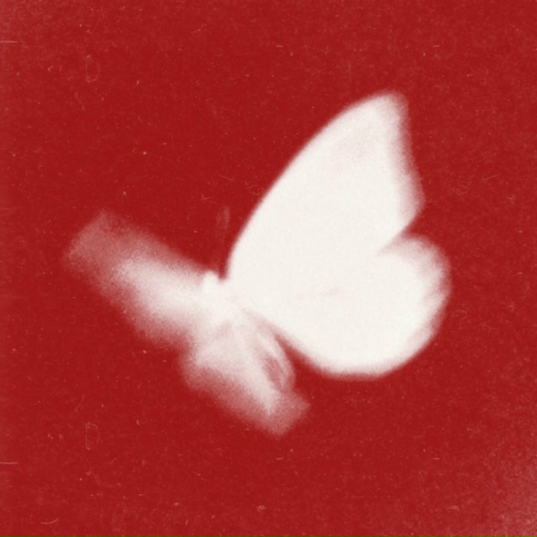 bradeazy, Crazy Town - Butterfly 2026