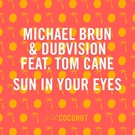 Michael Brun & Dubvision feat. Tom Cane - Sun in Your Eyes