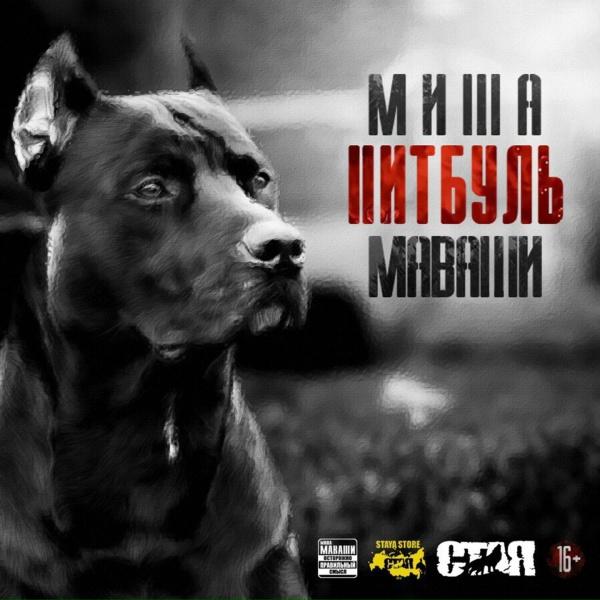 Миша Маваши - Московский озорной гуляка (Стих С. А. Есенина)