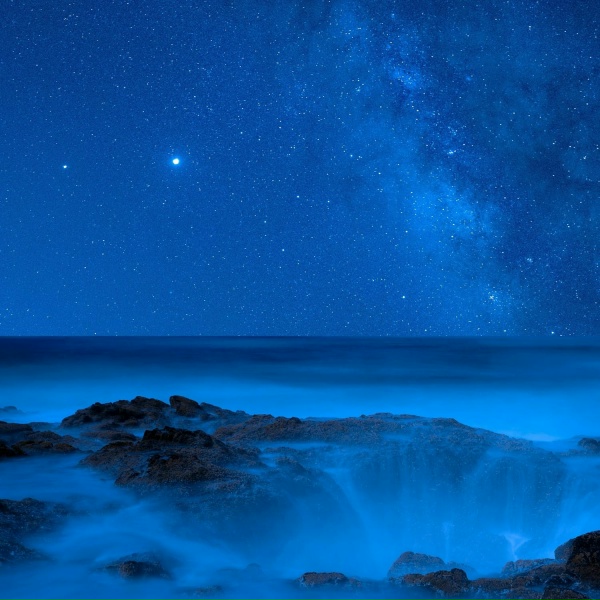 FiliiDomini - Starlit Riptide