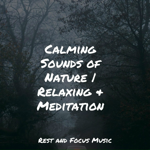 Preschool Kids, Academia de M&uacute;sica para Massagem e Relaxamento, Relaxing Sleep Sound - Soft Serendipity