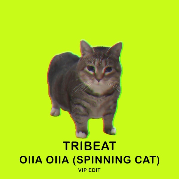 Tribeat - OIIA OIIA (Spinning Cat) [VIP EDIT]