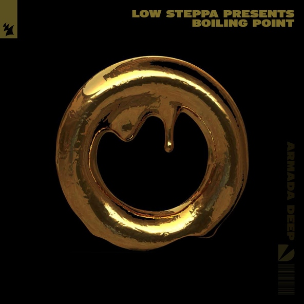 Low Steppa feat. Stevie Neale - Like A Fool