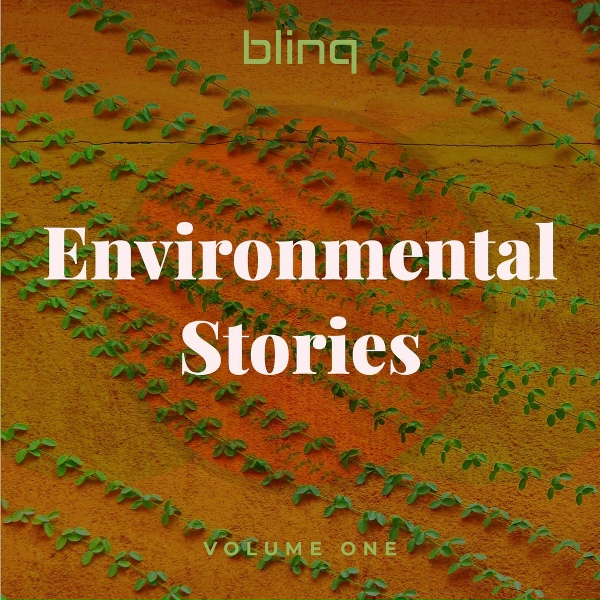 blinq - Inconvenient Truth
