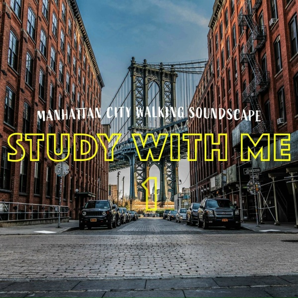 Bryan Maxwell - Manhattan City Walking Soundscape, Pt. 14