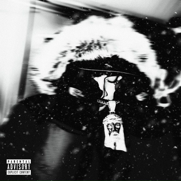 OhGeesy - Dog Food