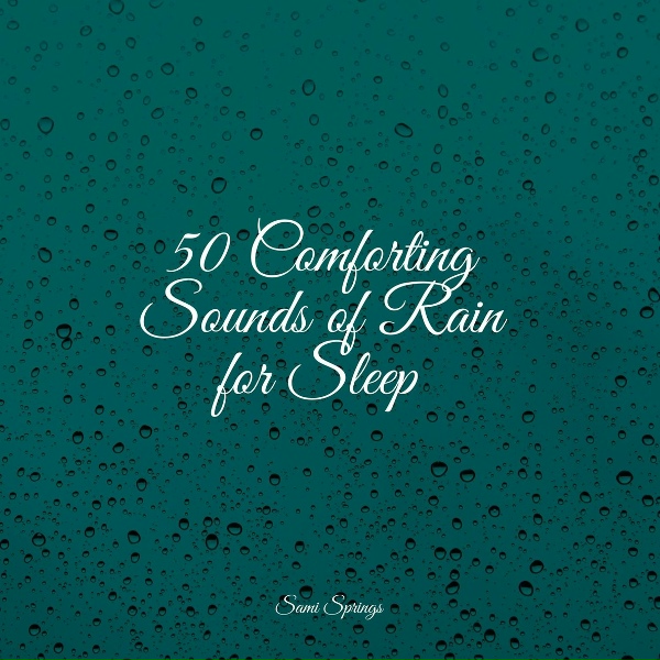 Easy Sleep Music, Zen Music Garden, Heavy Rain Sounds - Soothing Beach Ambience (Gentle Waves)