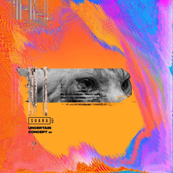 Uncertain - Conga