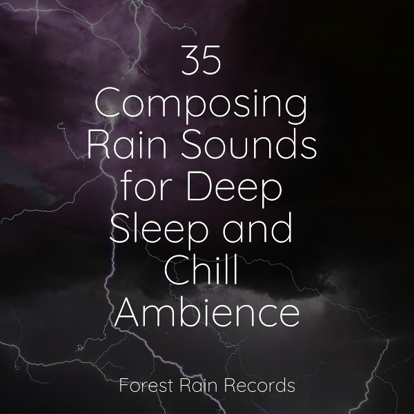 Dr. Meditation, M&uacute;sica Zen Relaxante, Rain - Gentle Lapping Waves