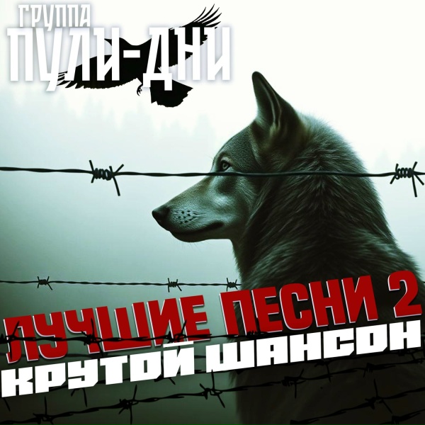 Группа Пули-Дни - Понятий нет
