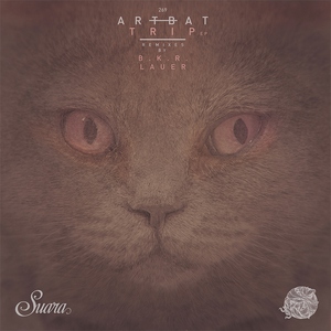 ARTBAT - Wall