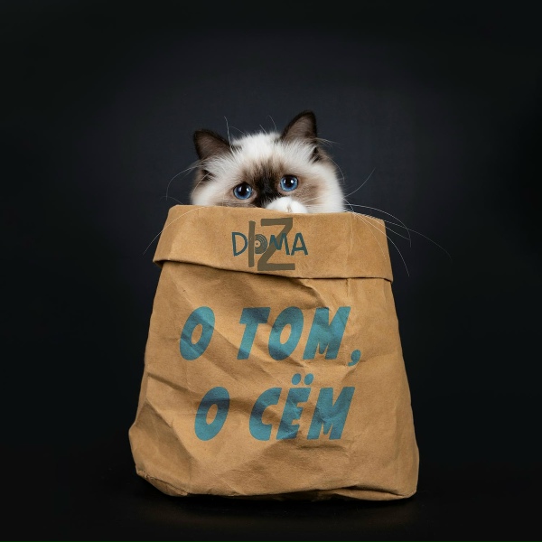izDoma