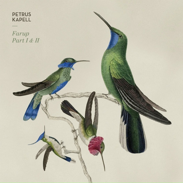 Petrus Kapell - One of These Days