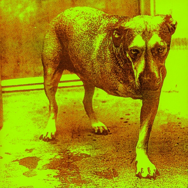 Alice In Chains - Shame In You