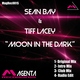 Sean Bay & Tiff Lacey - Moon in the Dark (Intro Mix) (Intro Mix)