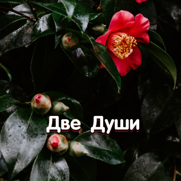 Гравитация - КАЗАЧЬЯ ДУША