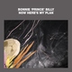 Bonnie 'Prince' Billy - I See A Darkness