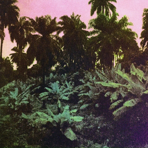 The Dead Sound - Not&nbsp;Your&nbsp;Heart