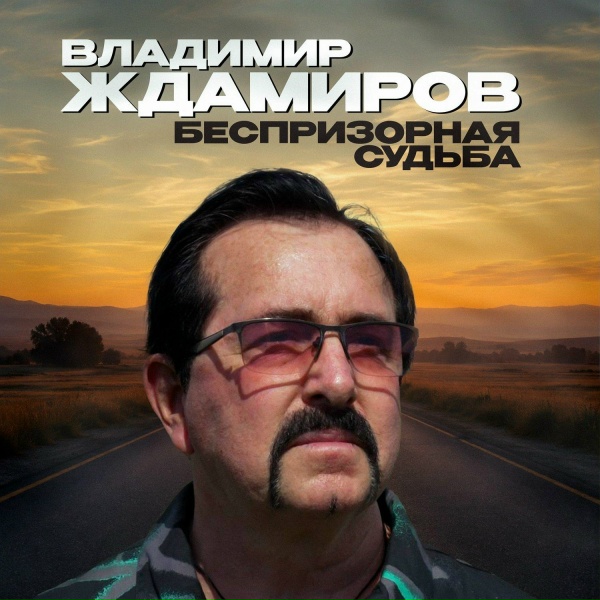 Владимир Ждамиров - Беспризорная судьба