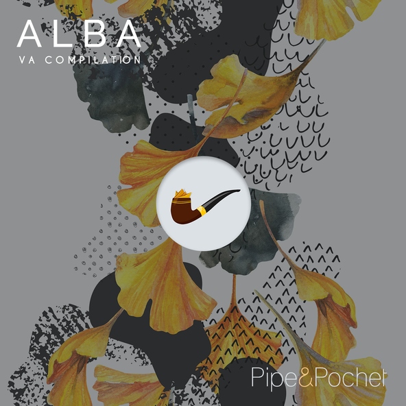 Aleceo - Senegal