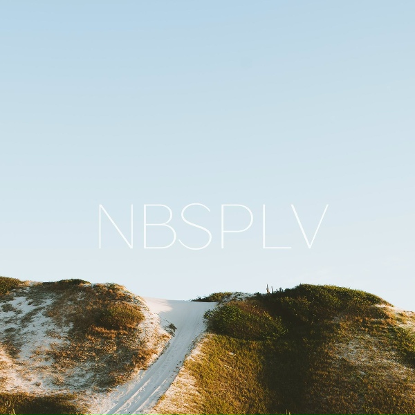 NBSPLV - Clarion Owl