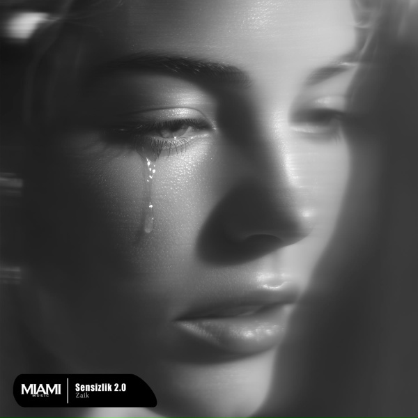 Zaik - Sensizlik 2