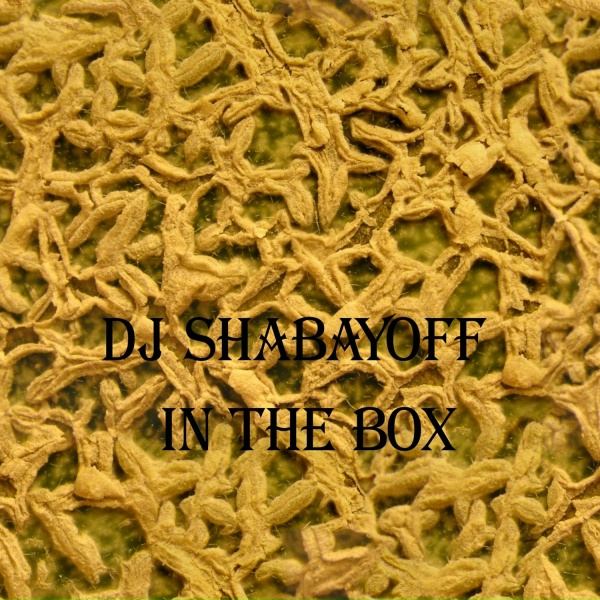 DJ SHABAYOFF - In The Box