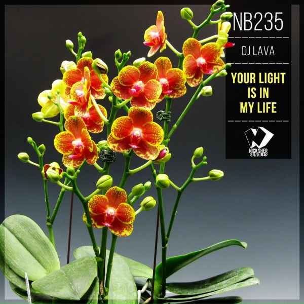 DJ Lava - Your Light Is in My Life
