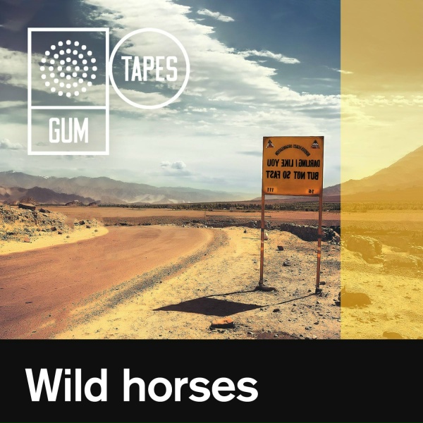 Gum Tapes - Wild Horses