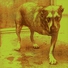 Alice In Chains - Sludge Factory (Album Version) (Album Version)