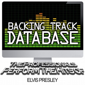 The Professionals - All Shook Up (Instrumental)