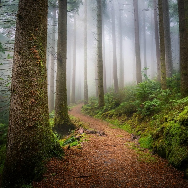 Fashionable Guitar Music, Hob Nob Guitars, Guitar Music Vibes - Celestial Strings