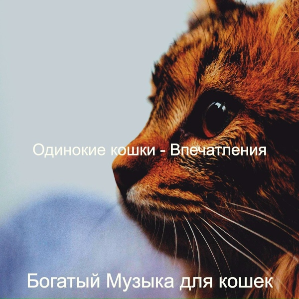 Богатый Музыка для кошек - Моменты (Котята)